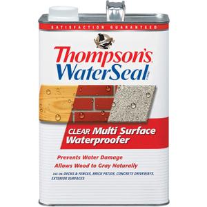 Thompsons WaterSeal Multi-Surface Waterproofer Stain, Clear, 1 Gallon Thompsons WaterSeal Multi-Surface Waterproofer Stain, Clear, 1 Gallon