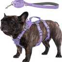 Escape Proof Dog Harness and Leash Set, Lightweight Dog Harness with Lift and Assist Handle, No Pull Reflective Pet Vest for Medium Dogs, Ideal for Puppy Walking and Training (Purple, M)