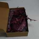 MISSPIN Artificial Fall Coral Leaves Stems 8 PCS, Fall Decorations for Indoor Outdoor Halloween Thanksgiving Farmhouse Arrangement Decorations for Front Door Wedding Centerpieces in Autumn