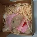 Mini Bunny Hug Cute Easter Gift Plush 2025 Bunny in a Box Hugs Positive Bunny Stuffed Animal Rabbit Soft Floppy Easter Ideas Bunnies Basket Stuffers Doll Emotional Support Inspirational Gifts (D1)