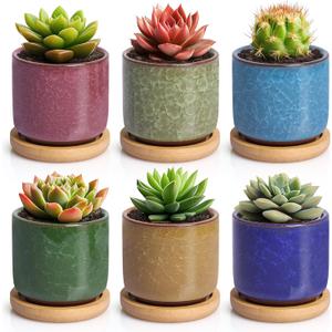 T4U 2.5 Inch Small Ceramic Succulent Planter Pot with Bamboo Saucer Set of 6, Ice Crack Glaze Porcelain Handicraft Plant Container Gift for Mom Sister Aunt Best for Home Office Desk Decoration