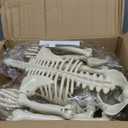 2 Pack 36" Halloween Skeleton Decorations, 3 ft Life Size Posable Skeleton Full Body with Movable Joints Plastic Skeleton for Yard Porch Garden Haunted House Graveyard Decoration