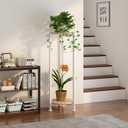 Plant Stand Indoor Corner Tall 2 Tier Metal Modern Flower Storage Plant Shelf Holder for Living Room Balcony Garden,White (2 Tier-White Round)