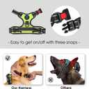PHOEPET No Pull Dog Harnesses for Small Dogs Reflective Adjustable Front Clip Vest with Handle 2 Metal Rings 3 Buckles [Easy to Put on & Take Off](S, Green)