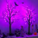 Halloween Indoor Decorations 2 Pack 24 Inch Black Halloween Tree with 24 Purple Led Lights, Timer/USB/Battery Operated Lighted Spooky Tabletop Tree for Halloween Decor Home Table Holiday Party