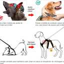 HEELE Dog Harness, Escape Proof Dog Harness, Release on Neck, No Pull Reflective Adjustable Vest with Durable Handle, Dog Harness for Outdoor Training Walking, Dog Harness for Small/Active Dogs, S