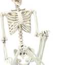 Abakuku 5.4 ft Posable Halloween Skeleton Decorations,Human Bones for Halloween Party with Movable Joints,for Haunted Houses, Front Lawn, Graveyard Props