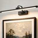 24" Battery Operated Picture Light for Wall,Remote Control