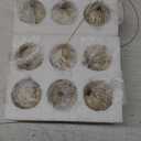 Hiboom 12 Pcs Fall Resin Pumpkin Ornaments for Tree Rustic Vintage Resin Pumpkins, Farmhouse Thanksgiving Hanging Decors for Autumn Thanksgiving Harvest Party Decorations(Bright Color, Neutral)