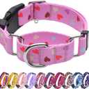 Hikiko Cute Pink Martingale Collar with Heart Design Soft Nylon Quick Release Buckle Dog Collars for Large Dogs (Fresh Love,Large)