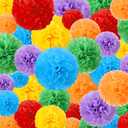 Estune 48 Pcs Tissue Paper Pom Poms 14''/ 12''/ 10''/ 8''/ 6'' Tissue Paper Flowers Decorations for Wedding Birthday Bridal Shower Baby Shower Decor (Rainbow), Variety Pack