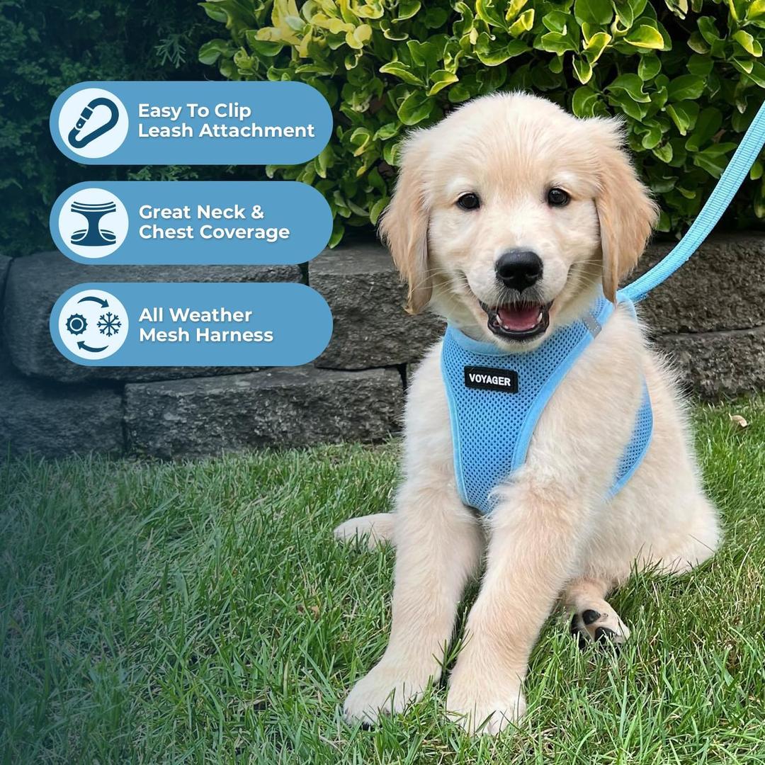 VOYAGER Step-In Air Harness Blue M