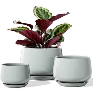 LE TAUCI Plant Pots for Indoor Plants, 4.1+5.1+6.5 inch, Set of 3, Ceramic Planters with Drainage Hole and Saucer, Indoor Flower Pot with Hole Mesh Pad, Gifts for Mom, Reactive Glaze Blue Gray