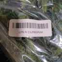 20'' European Holiday Favor Wreaths Pre-lit with LED Lights