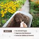 Back to the Roots 25.7qt (1 Cubic ft) Organic Premium Compost