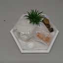 Nature's Mark Mini Zen Garden Kit for Desk with White Sand, Rake, White Base, Salt Rock and Air Plant (Hexagon)