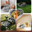 MoDinity Dog Memorial Gift, Angel Memorial Dog Statue with Photo Frame, Forever My Guardian Angel Garden Solar Light Dogs for Pet Memorial Stone