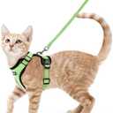 rabbitgoo Cat Harness and Leash for Walking, Escape Proof Soft Adjustable Vest Harnesses for Cats, Easy Control Breathable Reflective Strips Jacket, Light Green, S