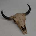 Mayrich Southwestern Cow Steer Skull Wall Hanging