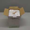 Candle Warmer Lamp with Timer and Dimmer, Electric Wax Warmers for Scented Candles with 5 Brightness Settings, Anti-Glare Lamp with Adjustable Height, Home Decor, Gift for Birthday, Valentines (Champagne)