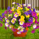 Artificial Flowers for Outdoors Fake Plants Spring Summer Decor, 12 Bundles Realistic Fake Silk Flowers Colorful Morning Glory UV Resistant Faux Flowers for Porch Outside Planter Porch Patio Yard