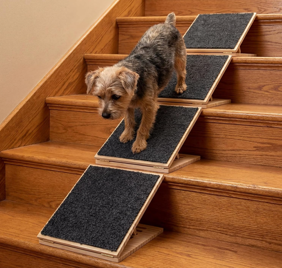 Cinnvoice 4 Packs Dog Ramp for Stairs Adjustable 5.5 to 7.48 Inch Height Foldable Wooden Pet Ramp with Non-Slip Carpet Surface for Indoor Small Dogs Cats Senior Pets (11.81 Inches/ 30 cm)