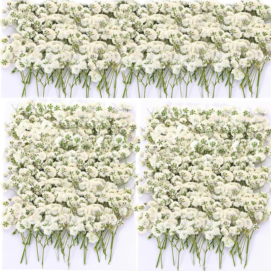 165Pcs Dried Pressed Baby's Breath Flowers - 100% Natural Flat Real White Gypsophila Baby Breath, Pressed Flowers for Resin Art, Epoxy Coasters, Wedding Invitations, Scrapbooking, Frame Decorations