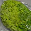 47.5" Car Wash Brush Mop Cleaning Tool with Long Handle Kit for Washing Detailing Cars Truck, SUV, RV, Trailer, Boat 2 in 1 Chenille Microfiber Sponge Duster Not Hurt Paint Scratch Free (Green)