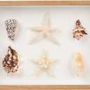 liomey Shell Ornament Christmas Decor 11.69" x 8.27" Coastal Wall Art Wooden Frame with Natural Conch Shells, Nautical Beach Home Decor, Ocean Themed Display for Living Room, Bedroom, Office(Two Large Starfish)