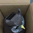 Solar Owl Guard with Motion Detector, Flashing Eyes, Spinning Head, Realistic Hooting and Silent Mode, Garden Owl, Outdoor Statue, Decoration for Home, Garden, Patio and Fence