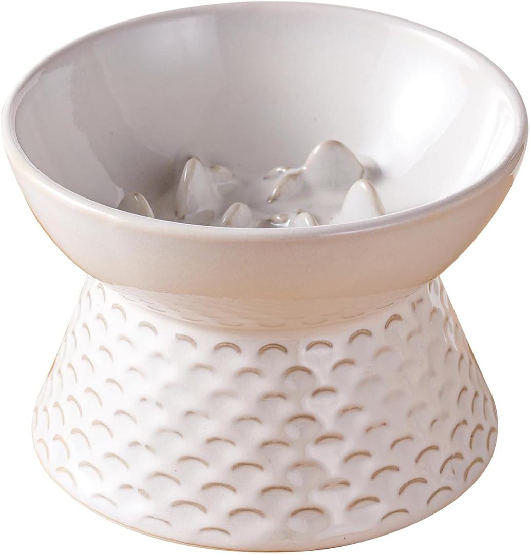 Ceramic Cat Slow Feeder, Elevated Cat Food Bowl Samll Dog Bowl
