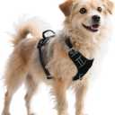 No Pull Dog Harness with Reflective Safety Strips, Adjustable Soft Padded, 3 Buckles, 2 Leash Clips, Oxford No Choke Pet Vest with Easy Control Handle for Medium Dogs, Black, M