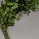 HyeFlora 5PCS Artificial Eucalyptus Leaves Stem Plants for Spring Decor, 32.7 inch Fake Leaves Greenery Branches Green Shrubs Silk Faux Foliage DIY Stems for Festival Home Kitchen Farmhouse(Green)