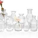 Set of 12 Glass Bud Vases-Small Vases for Flowers-Mini Bud Vases in Bulk -Vintage Vases Centerpieces for Tables Wedding and Home Decor(12pcs/Clear)