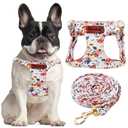 OaaXbbECco No Pull Floral Pattern Puppy Harness,Soft Adjustable Dog Harness Vest and Dog Leash Set No Choke Escape Proof (Orange Rose, S)