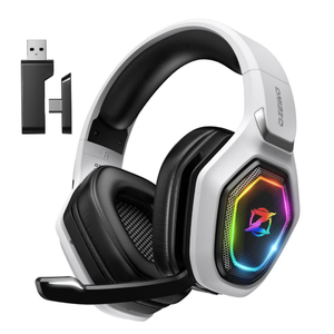 Wireless Gaming Headset 2.4GHz USB & Type-C Low Latency Gaming Headphones with Microphone for PC, PS5, PS4, Mobile, Switch