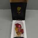 Kotko Rose in Glass Dome – Beautiful Glass Rose Flower Lights, for Women, Gifts for Mom, Romantic Occasions, Mother's Day, Women's Day – Home Decor | Flowers Roses with LED Light