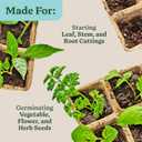 Miracle-Gro Indoor Potting Mix for Seed Starting, For Starting Vegetable, Flower, and Herb Seeds Indoors, Excellent for Cuttings, 8 qt. (2-Pack)