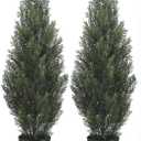 TRESIL Two 3 Foot Outdoor Artificial Cedar Trees Potted Plants