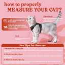 rabbitgoo Cat Harness and Leash for Walking, Escape Proof Soft Adjustable Vest Harnesses for Cats, Easy Control Breathable Reflective Strips Jacket, Black, S
