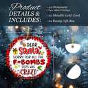 Funny Ornament 2025  Adult Humor Ornament, Dear Santa Sorry for All The F-Bombs 2025 was Crazy  Adult Humor Holiday Decoration, Gag Gift, White Elephant, Secret Santa Stocking Stuffer