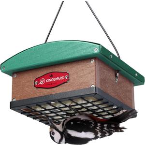Kingsyard Upgraded Upside Down Double Suet Feeder with Metal Weatherproof Roof, Squirrel-Proof Metal Edging, Suet Feeders for Outside Hanging, Great for Attracting Woodpecker, Nuthatch, Titmouse (Green)
