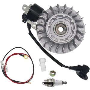 Flywheel with NGK Plug Coil Kit for Stihl MS660 066 Chainsaw 1122 400 1217