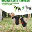 Dog Knee Brace for Back Leg, Adjustable Dog Leg Brace with 4 Stabilizers, Hip Support to Reduces Pain, Ligament Injuries & Luxating Patella & ACL CCL for  Dogs, XL