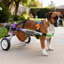Dog Support Wheelchair for Back Legs Adjustable Dog Mobility Cart for Hind Legs Support Cart for Injured or Paralyzed Dogs (8.5-11.5In 21.5 Pound)