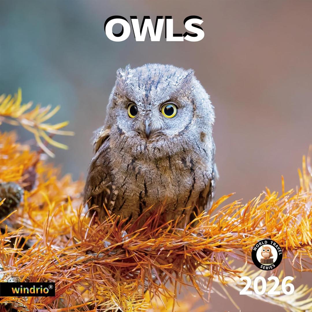 2026 Wall Calendar,Calendar 2026, November 2025 - December 2026, Wall Calendar Owls, 12" x 24" Opened,Full Page Months Thick & Sturdy Paper for Gift Perfect Calendar Organizing & Planning