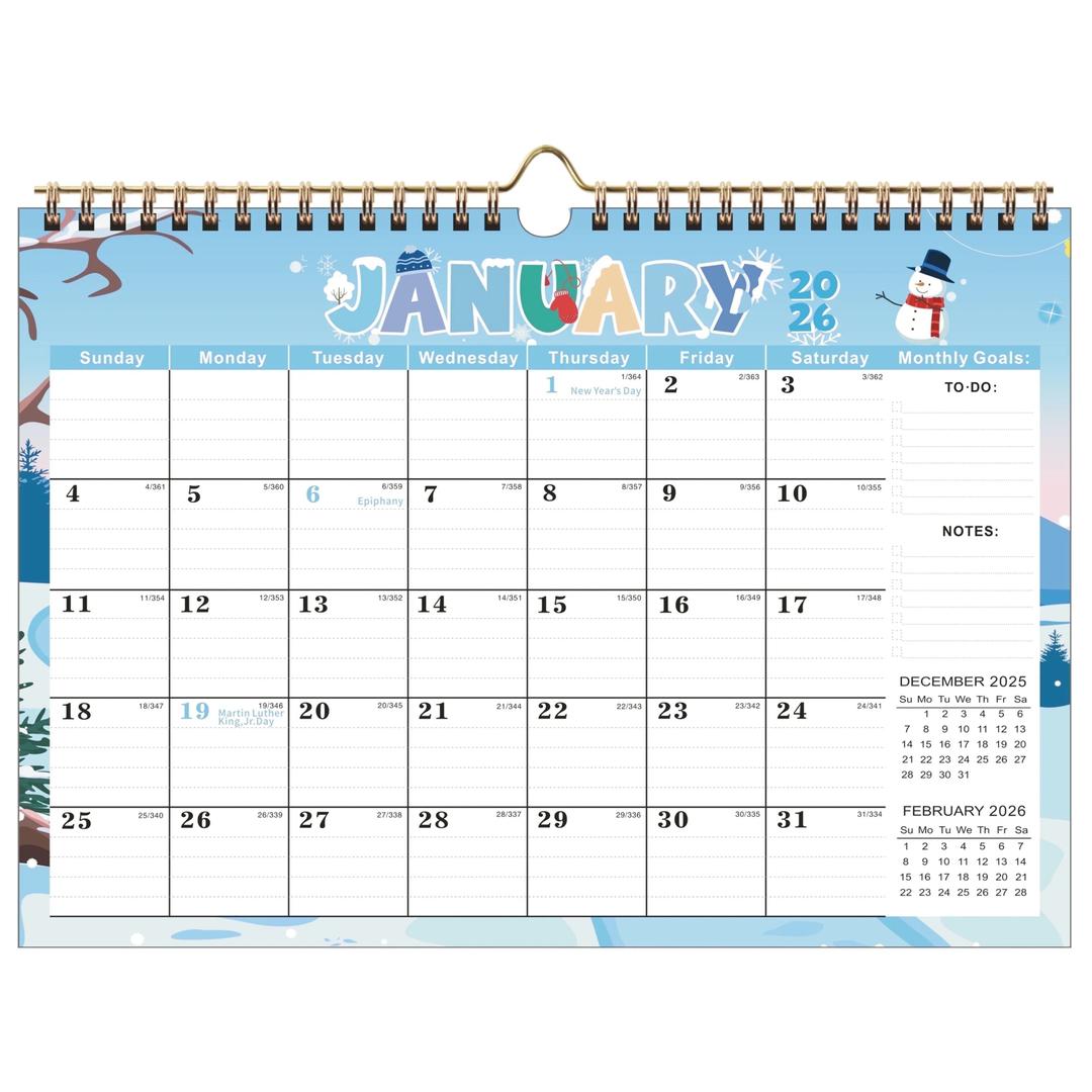 Wall Calendar 2026-27 Planning Calendar Thick Paper Yearly Calendar With Multiple Holidays For Planning And Organization