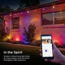 Enbrighten Vibe Eternity Garden Lights, Extension Only, Not for Standalone Use, 16.5ft with 4 RGBWIC LEDs, Waterproof, Landscape Lighting Needed, Extendable up to 150ft, 83794