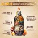 Lions Mane Mushroom Liquid Drops, 8 in 1 Mushroom Complex Supplement with Irish Sea Moss, Chaga, Turkey Tail, Cordyceps & More for Brain, Focus, Cognitive & Immune Support, Vegan, Peach Flavor, 60mL