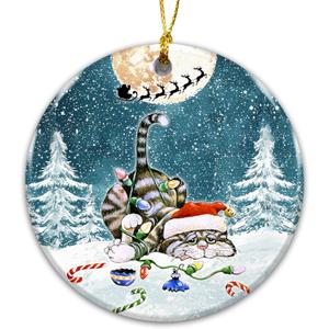 5 x Funny Cat Ornament 2025, White Elephant Gift  Holiday Decoration with Kitten in Santa Hat Watching Santas Sleigh  Cute Pet Lover Gift  Rustic Farmhouse Xmas Tree Keepsake